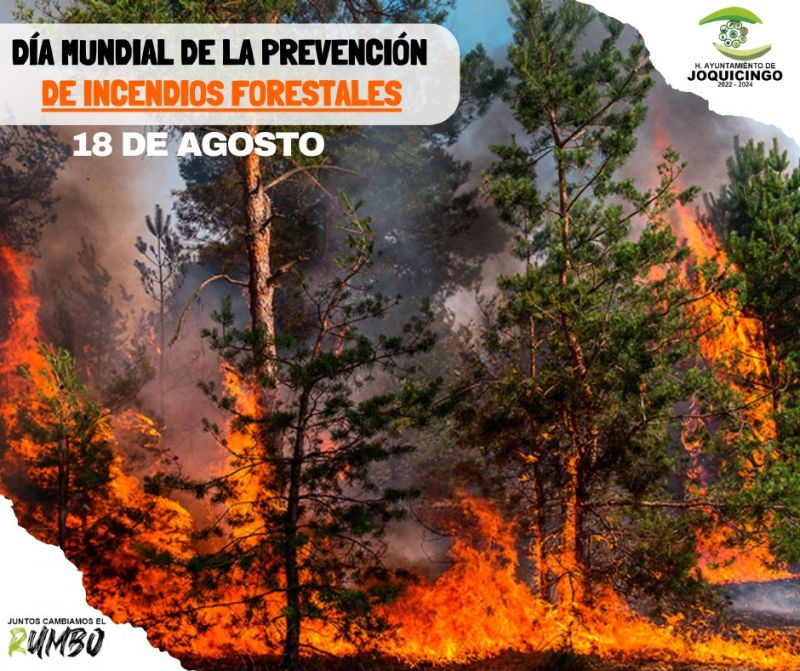 Dia Mundial de la Prevención de Incendios Forestales