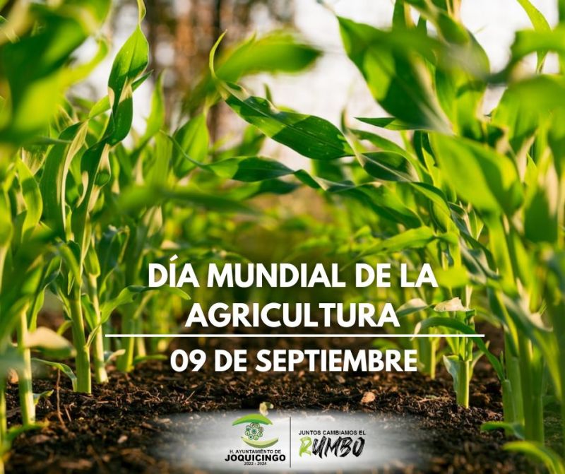 Dia Mundial de la Agricultura